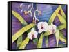 Water Orchids-Mary Russel-Framed Stretched Canvas