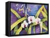 Water Orchids-Mary Russel-Framed Stretched Canvas