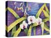 Water Orchids-Mary Russel-Stretched Canvas