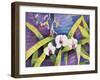 Water Orchids-Mary Russel-Framed Giclee Print