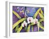 Water Orchids-Mary Russel-Framed Giclee Print
