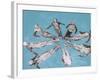 Water Pageantry-Chris Dunker-Framed Giclee Print