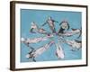 Water Pageantry-Chris Dunker-Framed Giclee Print