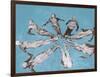 Water Pageantry-Chris Dunker-Framed Giclee Print