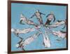 Water Pageantry-Chris Dunker-Framed Giclee Print