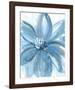 Water Petals-Rebecca Meyers-Framed Giclee Print