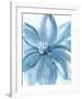 Water Petals-Rebecca Meyers-Framed Giclee Print