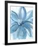 Water Petals-Rebecca Meyers-Framed Giclee Print