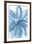 Water Petals-Rebecca Meyers-Framed Art Print