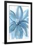 Water Petals-Rebecca Meyers-Framed Art Print