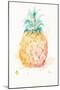 Water Pineapple-Patricia Pinto-Mounted Art Print