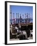 Water Pipes, Red Sea Public Beach, Aqaba, Jordan, Middle East-Christopher Rennie-Framed Photographic Print