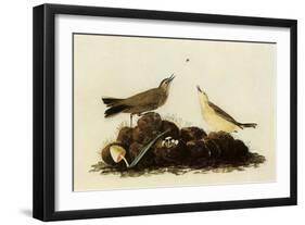 Water Pipits-John James Audubon-Framed Giclee Print