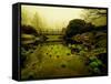 Water Plants Growing under Bridge-Jan Lakey-Framed Stretched Canvas