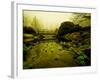 Water Plants Growing under Bridge-Jan Lakey-Framed Photographic Print