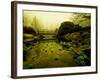 Water Plants Growing under Bridge-Jan Lakey-Framed Photographic Print