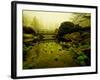 Water Plants Growing under Bridge-Jan Lakey-Framed Photographic Print