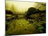 Water Plants Growing under Bridge-Jan Lakey-Mounted Photographic Print