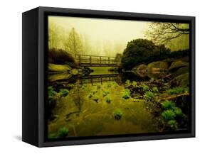 Water Plants Growing under Bridge-Jan Lakey-Framed Stretched Canvas