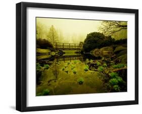 Water Plants Growing under Bridge-Jan Lakey-Framed Photographic Print