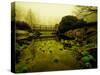 Water Plants Growing under Bridge-Jan Lakey-Stretched Canvas