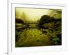 Water Plants Growing under Bridge-Jan Lakey-Framed Photographic Print