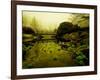 Water Plants Growing under Bridge-Jan Lakey-Framed Photographic Print