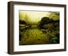 Water Plants Growing under Bridge-Jan Lakey-Framed Photographic Print