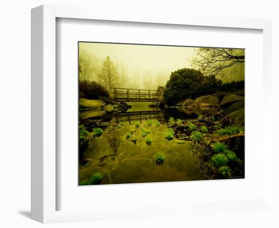 Water Plants Growing under Bridge-Jan Lakey-Framed Photographic Print