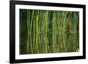 Water Plants I-Osaria Copperstone-Framed Giclee Print