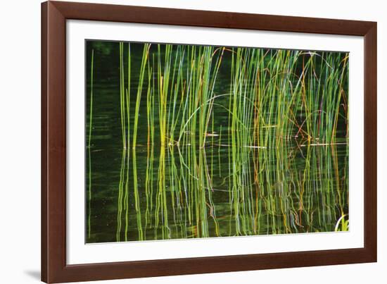 Water Plants I-Osaria Copperstone-Framed Giclee Print