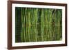 Water Plants I-Osaria Copperstone-Framed Giclee Print