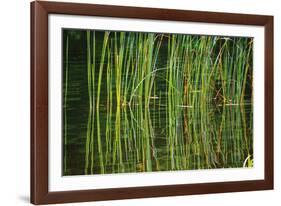 Water Plants I-Osaria Copperstone-Framed Giclee Print