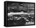 Canvas Black