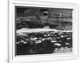 Gramercy White