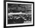 Gramercy Black