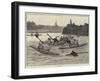 Water Polo-Edward Morant Cox-Framed Giclee Print