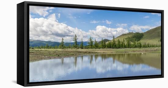 Water pond and fir trees in White Lake National Park, Tariat district, North Hangay province, Mongo-Francesco Vaninetti-Framed Stretched Canvas