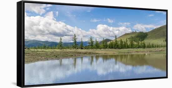 Water pond and fir trees in White Lake National Park, Tariat district, North Hangay province, Mongo-Francesco Vaninetti-Framed Stretched Canvas