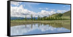 Water pond and fir trees in White Lake National Park, Tariat district, North Hangay province, Mongo-Francesco Vaninetti-Framed Stretched Canvas