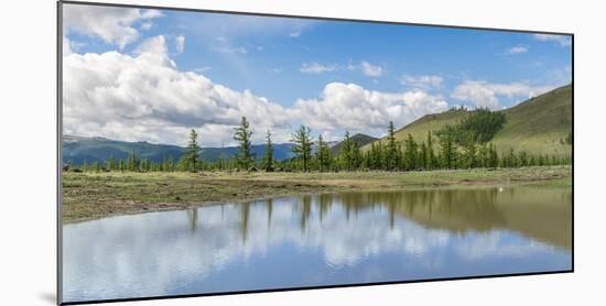 Water pond and fir trees in White Lake National Park, Tariat district, North Hangay province, Mongo-Francesco Vaninetti-Mounted Photographic Print