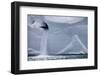 Water Pours from Face of Brasvellbreen Glacier on Nordaustlandet-Paul Souders-Framed Photographic Print