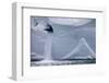 Water Pours from Face of Brasvellbreen Glacier on Nordaustlandet-Paul Souders-Framed Photographic Print