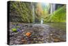 Water Pours from the Walls of Eagle Creek Canyon after a Recent Rainstorm, in Oregon-Ben Coffman-Stretched Canvas