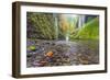 Water Pours from the Walls of Eagle Creek Canyon after a Recent Rainstorm, in Oregon-Ben Coffman-Framed Photographic Print