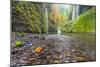 Water Pours from the Walls of Eagle Creek Canyon after a Recent Rainstorm, in Oregon-Ben Coffman-Mounted Photographic Print