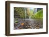 Water Pours from the Walls of Eagle Creek Canyon after a Recent Rainstorm, in Oregon-Ben Coffman-Framed Photographic Print