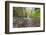 Water Pours from the Walls of Eagle Creek Canyon after a Recent Rainstorm, in Oregon-Ben Coffman-Framed Photographic Print