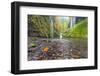 Water Pours from the Walls of Eagle Creek Canyon after a Recent Rainstorm, in Oregon-Ben Coffman-Framed Photographic Print