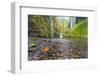 Water Pours from the Walls of Eagle Creek Canyon after a Recent Rainstorm, in Oregon-Ben Coffman-Framed Photographic Print